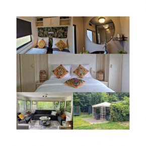 Sunhouse Bodhi